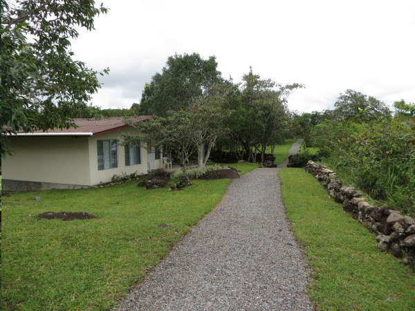 Property Detail